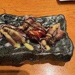 -肴- 晴 - 