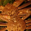 IL Brio 麻布 - 