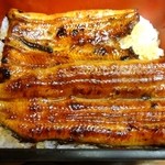 川豊 - 上鰻重２９００円