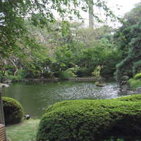 天婦羅 若竹 - お店のまわりの庭園