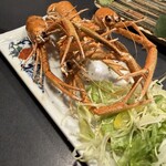 庵JUJU - 
