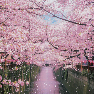 代官山焼肉 kintan_0