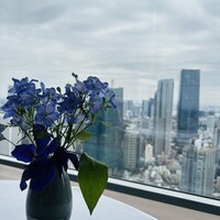 Héritage by Kei Kobayashi - 45Fからの眺め　ぜひディナーでも訪れたい(我が家は当分無理ですが)