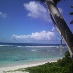 Coco Palm Garden Beach - 