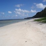 Coco Palm Garden Beach - 