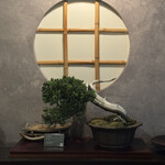 焼き鳥と酒 紫垣 - 