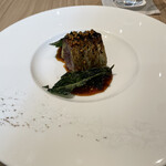 SCALAE - 
