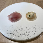 SCALAE - 