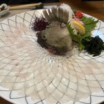 魚将　さかなちゃん - 