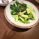 松の樹 - 