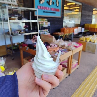 道の駅 なぶら土佐佐賀_1