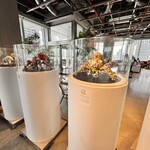 TOKYO NODE CAFE - 