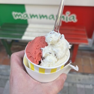 ジェラテリア マンマミア_0