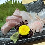 居酒屋　うみ幸 - 白ソイ、マコガレイ