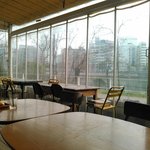 43 - 店内から外を