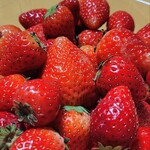 九州屋 - 料理写真:いちご