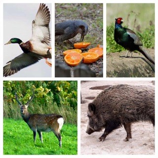 旬ものと日本酒 とみ笑_1