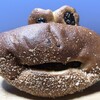 roti enak - これでも以前よりだいぶ可愛くなった「かえるくんのカレーパン」♫