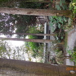 青田七六 - 青田七六中庭