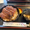 うなふじ支店 - うなぎ丼並（パリッと焼かれたうなぎの中身はフワフワしてて、あっさりめのタレに絡めるとなんとも言えない美味しさ。）