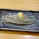 鮨　まつ本 - 