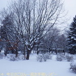 Kirim Bia Resutoran Haube - 窓から雪景色