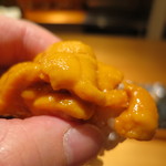 鮨龍尚 - 雲丹　北海道利尻