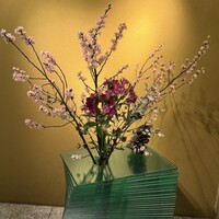 伊豆の旬 やんも 丸の内店 - 