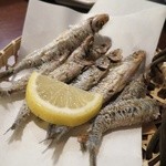 炭火焼 みや澤 - とんごろイワシの唐揚げ