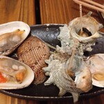 貝せん - 