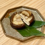 博多ほたる - 