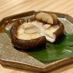 博多ほたる - 
