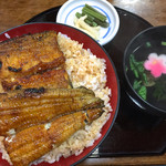 浜松 - うなぎ丼「上」大盛り