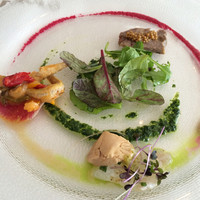 IL PINOLO 梅田 - 