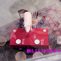TOOTH TOOTH TOKYO - 