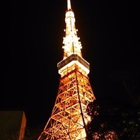 東京 芝 とうふ屋うかい - 庭から見上げる東京タワーが花を添えます