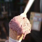 Hilo Homemade Ice Cream - ハワイアンショコラ