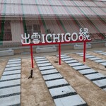 出雲ICHIGO縁 - 