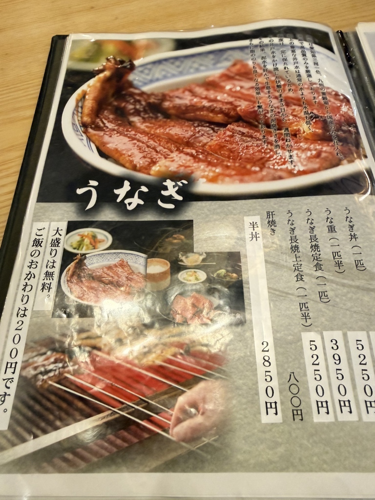 吉田 屋 美濃 錦