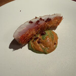 Potoro - 