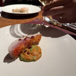 Potoro - 