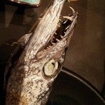 FOOD BAR 海酔 - 店長が釣ってきた超デカ太刀魚(の頭)身がふわふわの塩焼きです。