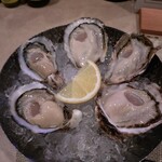 OysterBar OISSU