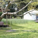 ライステラスカフェ - 憧れのブランコ