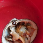 SUPER ARCS - 料理写真: