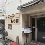 松の樹 - 