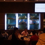 JUMBO SEAFOOD - 水槽