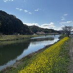 お好み焼彦兵衛 - 食後の散歩、土佐はもう春です♪