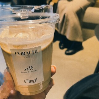 コバチチャイ_1