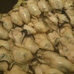 キンカウーカ オイスターバー - どひゃー！と驚きの、ぷりぷり牡蠣たち♥